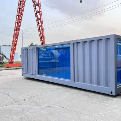 20ft Container Swimming Pool For Sale